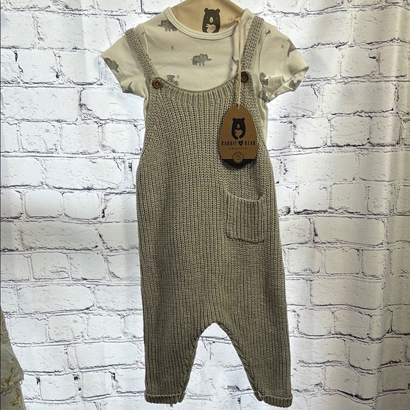 Rabbit 💜Bear Organic Cozy Gray Knit Overalls with Ribbed Texture - Picture 1 of 10